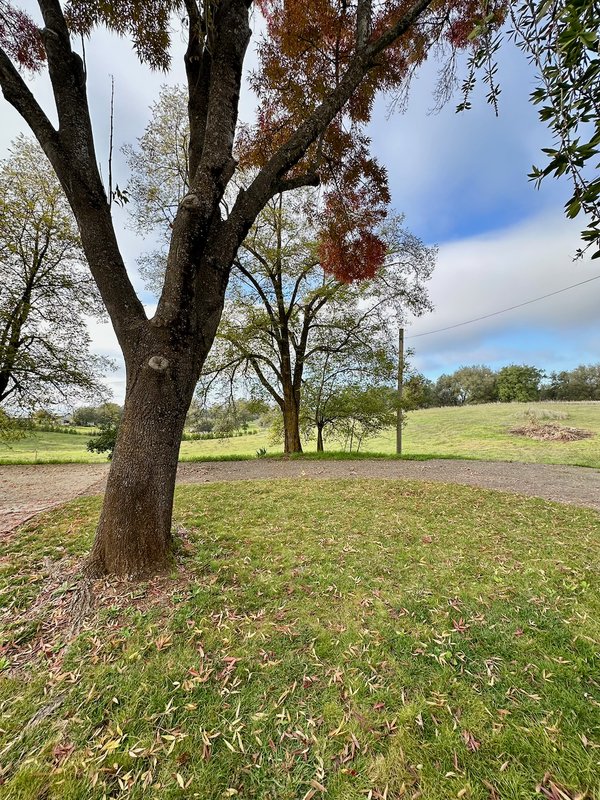 6181 Wise Road property image