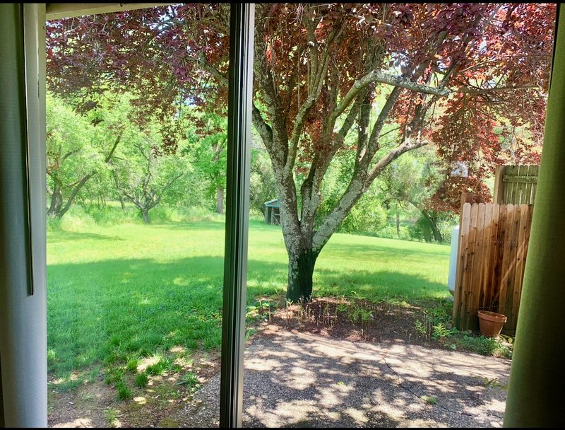 6181 Wise Road property image