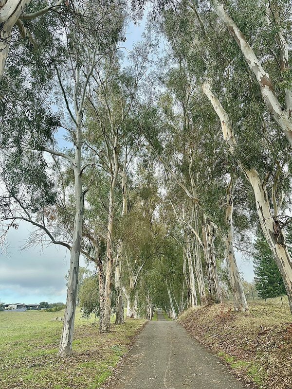 6181 Wise Road property image