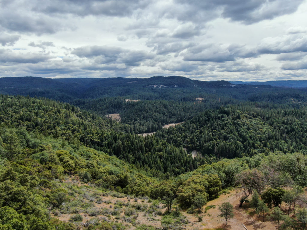 Ariel Grass Valley Forrest and Bare Land Photo